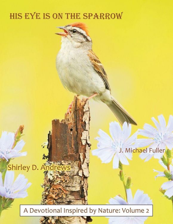 Produktbild: HIS Eye is on the Sparrow