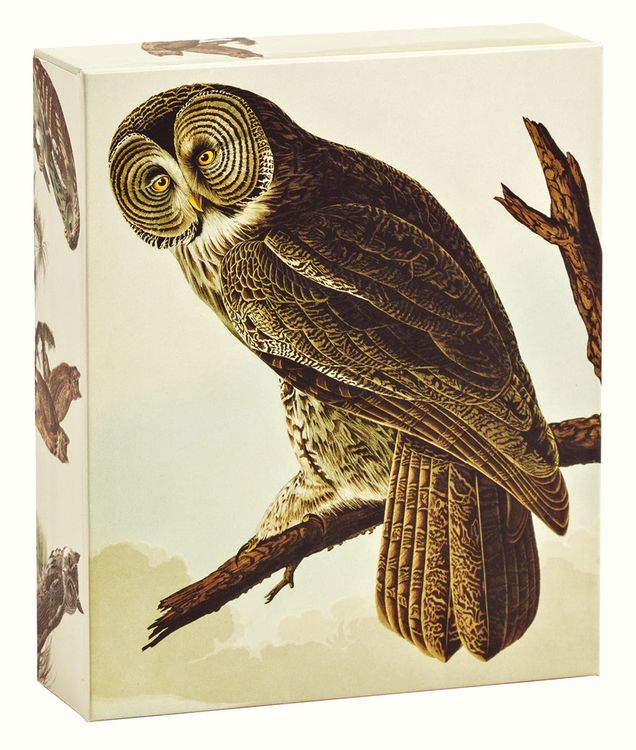Produktbild: Audobon Eulen Gru&szlig;karten Box