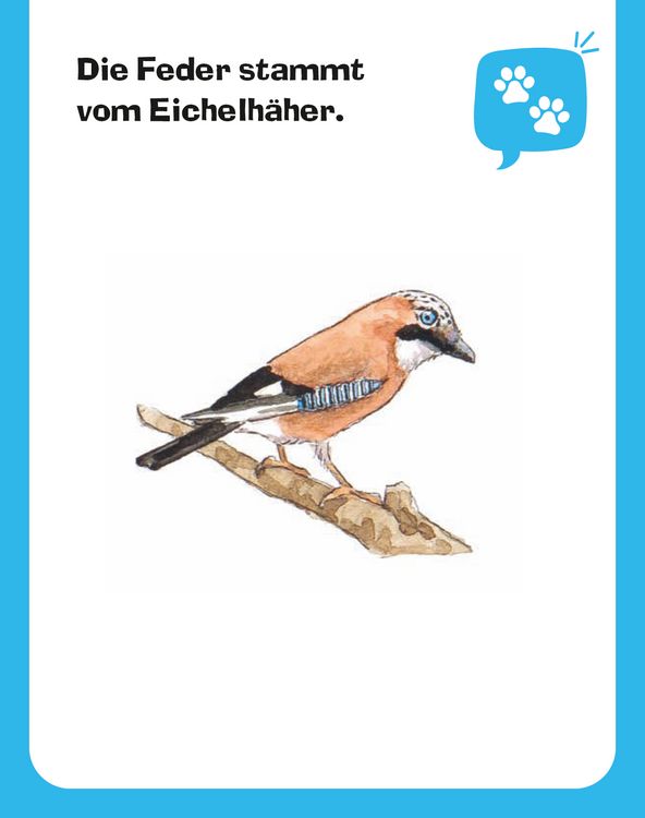 Produktbild: Wieso? Weshalb? Warum? Mein Kalender 2023
