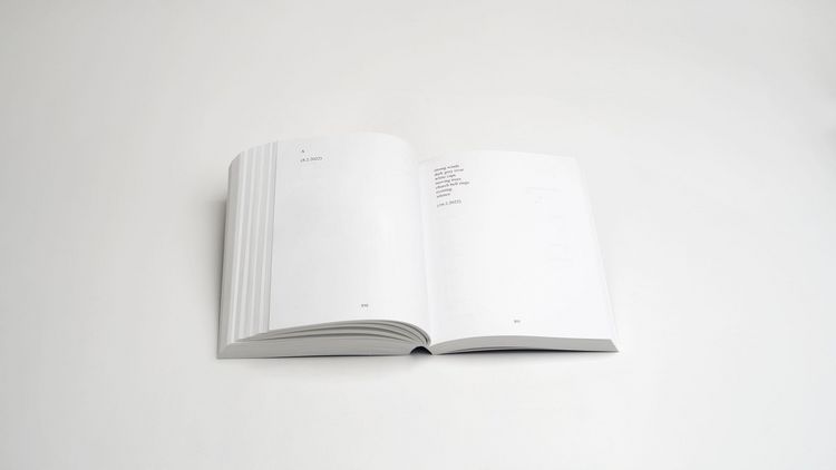 Produktbild: Andr&eacute; Butzer: Pressemitteilungen, Briefe, Gespr&auml;che, Texte, Gedichte