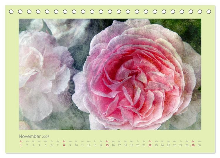 Produktbild: Romantische Rosen (Tischkalender 2026 DIN A5 quer), CALVENDO Monatskalender