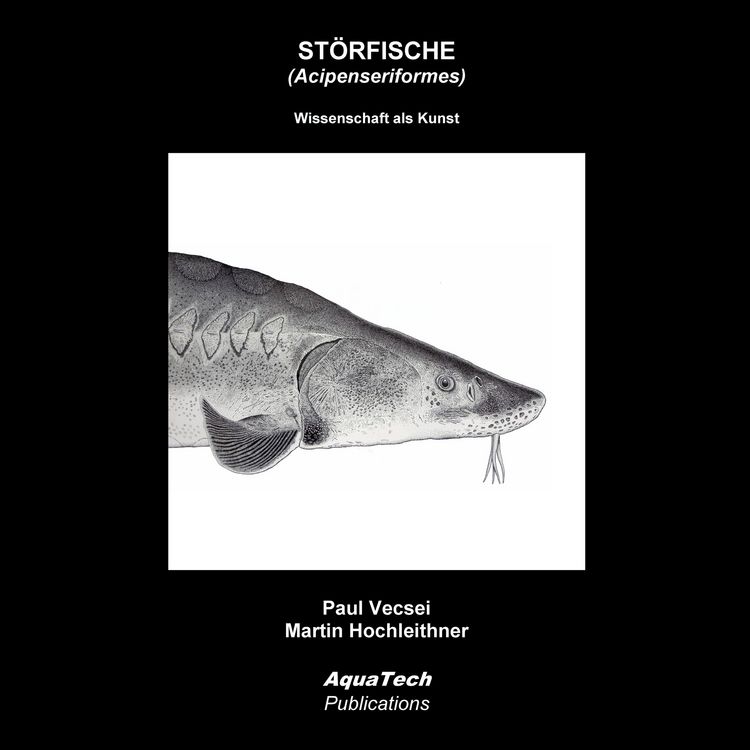 Produktbild: St&ouml;rfische (Acipenseriformes)