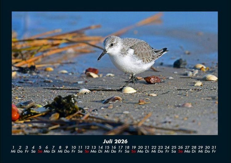 Produktbild: Str&auml;nde der Welt 2026 Fotokalender DIN A4