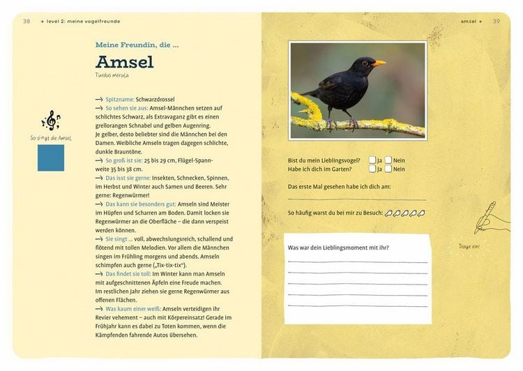 Produktbild: Dein Projekt. Dein Guide. Gartenv&ouml;gel einladen & verw&ouml;hnen