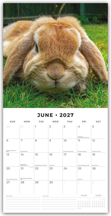 Produktbild: Long Eared Rabbits &ndash; Langohrhasen 2027 &ndash; 16-Monatskalender