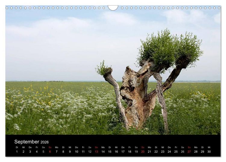 Produktbild: Traumhafte Ostseek&uuml;ste (Wandkalender 2026 DIN A3 quer), CALVENDO Monatskalender