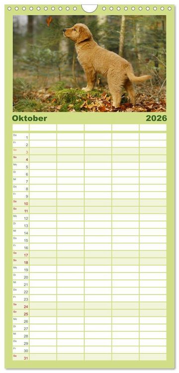 Produktbild: Familienplaner 2026 - Chesley Kleiner Hund grosse Abenteuer mit 5 Spalten (Wandkalender, 21 x 45 cm) CALVENDO