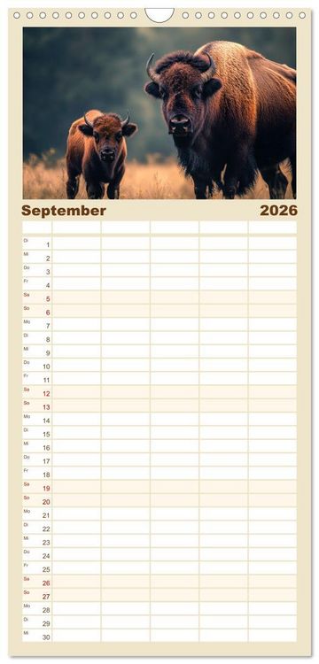 Produktbild: Familienplaner 2026 - B&uuml;ffel - Ikonen der Wildnis mit 5 Spalten (Wandkalender, 21 x 45 cm) CALVENDO