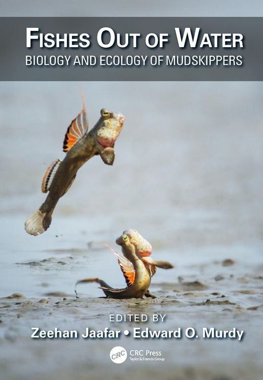 Produktbild: Fishes Out of Water