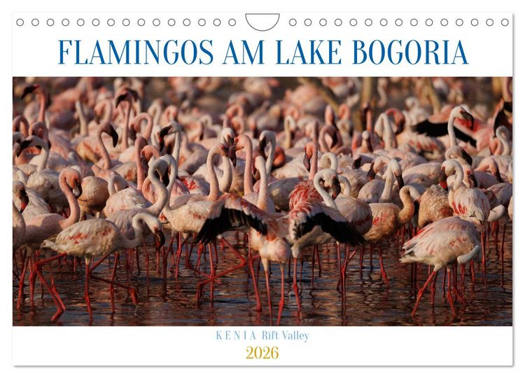 Produktbild: Flamingos am Lake Bogoria - Kenia (Wandkalender 2026 DIN A4 quer), CALVENDO Monatskalender