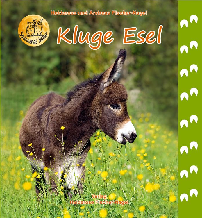 Produktbild: Kluge Esel