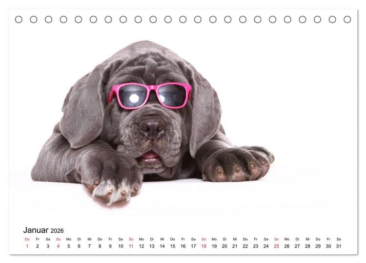 Produktbild: Funny Dogs (Tischkalender 2026 DIN A5 quer), CALVENDO Monatskalender