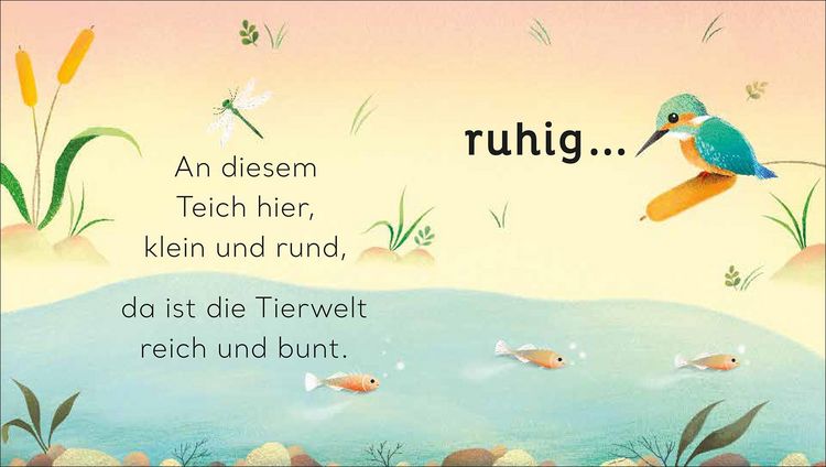 Produktbild: Eine kleine Welt im Teich