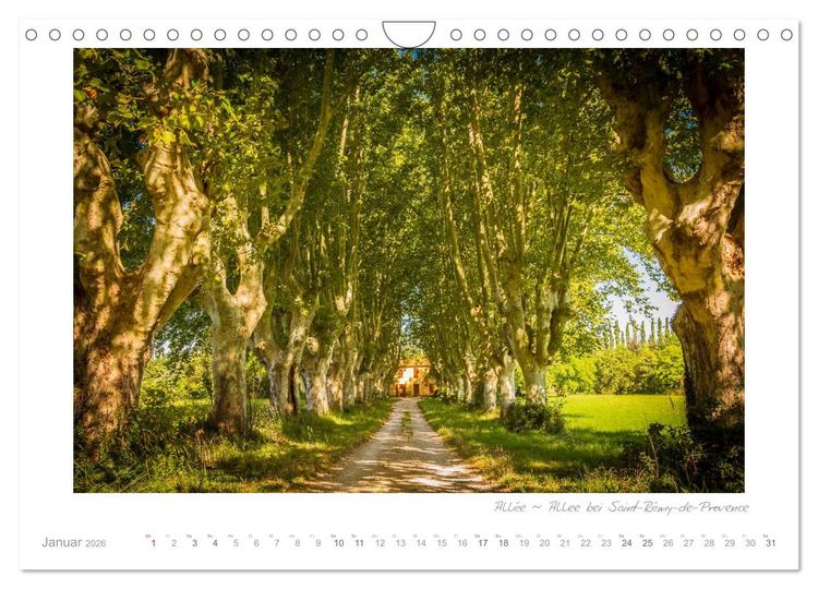Produktbild: Sehnsucht Provence - Land des Lichts (Wandkalender 2026 DIN A4 quer), CALVENDO Monatskalender