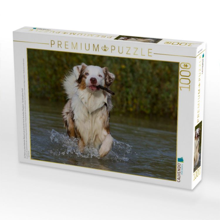 Produktbild: CALVENDO Puzzle Ein Motiv aus dem Kalender Bekannt wie ein bunter Hund. Australian Shepherd - Familienplaner hoch | 1000 Teile Lege-Gr&ouml;&szlig;e 64x48cm Foto