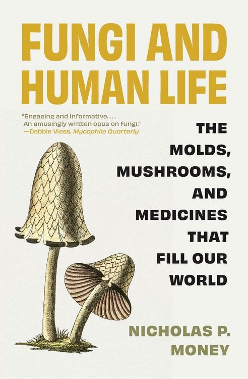 Produktbild: Fungi and Human Life