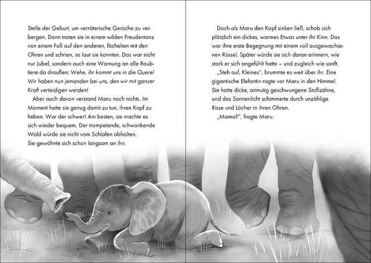 Produktbild: Das geheime Leben der Tiere (Savanne) - Maru - Die Reise der Elefanten