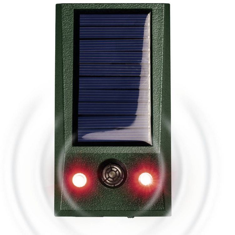 Produktbild: Gardigo Solar-Tierabwehr Basic Tierabwehrger&auml;t Funktionsart Multifrequenz, LED-Licht 1St.
