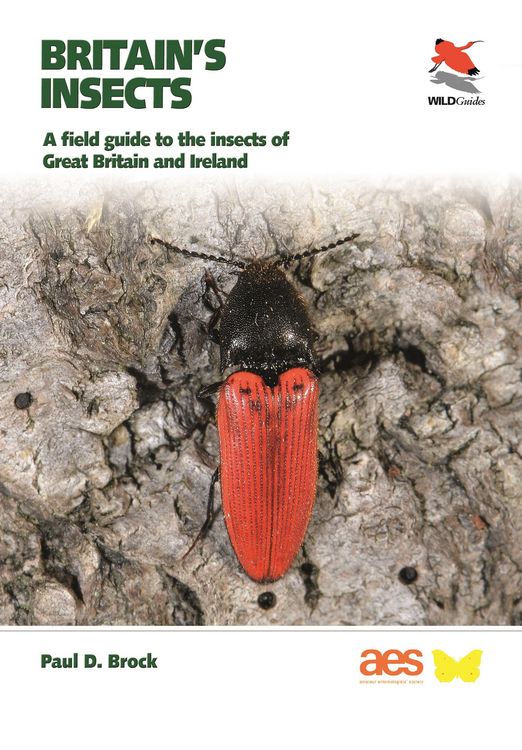 Produktbild: Britain's Insects