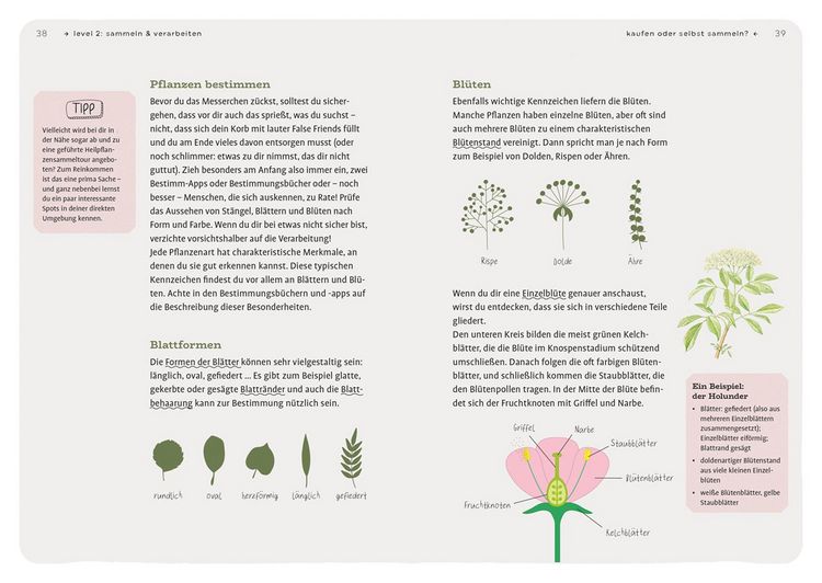 Produktbild: Dein Projekt. Dein Guide. Heilpflanzen kennen, sammeln, verarbeiten