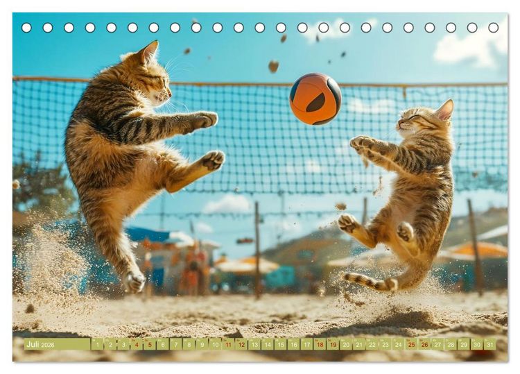 Produktbild: Lustige Sportarten f&uuml;r Katzen (Tischkalender 2026 DIN A5 quer), CALVENDO Monatskalender