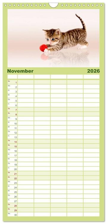 Produktbild: Familienplaner 2026 - K&auml;tzchen 2026 mit 5 Spalten (Wandkalender, 21 x 45 cm) CALVENDO