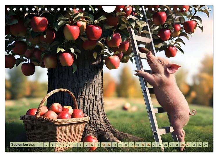 Produktbild: Unterwegs mit Piet - Die Abenteuer eines Ferkelchens (Wandkalender 2026 DIN A4 quer), CALVENDO Monatskalender