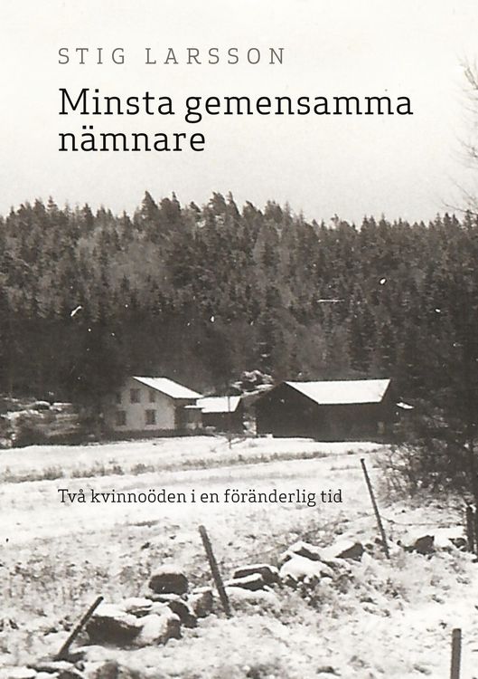 Produktbild: Minsta gemensamma n&auml;mnare