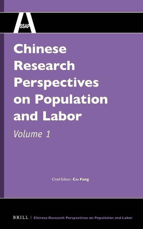 Produktbild: Chinese Research Perspectives on Population and Labor, Volume 1