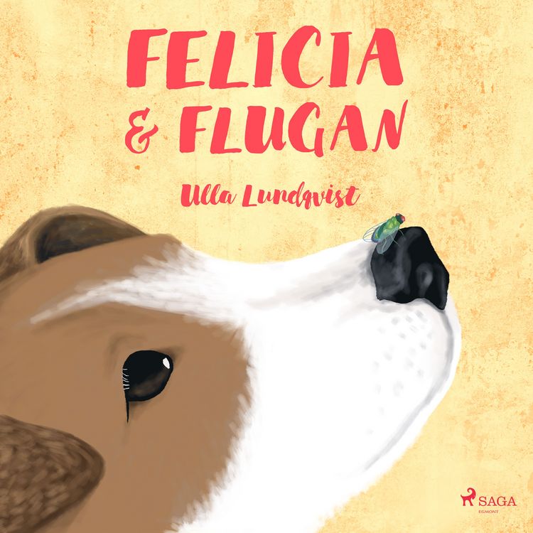 Produktbild: Felicia och flugan