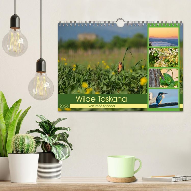 Produktbild: Wilde Toskana - von Ren&eacute; Schaack (Wandkalender 2026 DIN A4 quer), CALVENDO Monatskalender