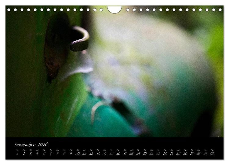 Produktbild: Oldtimer - verlassen verrostet vergessen (Wandkalender 2026 DIN A4 quer), CALVENDO Monatskalender