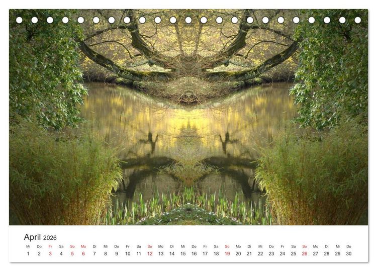 Produktbild: Spiegelwelten - Natur anders sehen (Tischkalender 2026 DIN A5 quer), CALVENDO Monatskalender