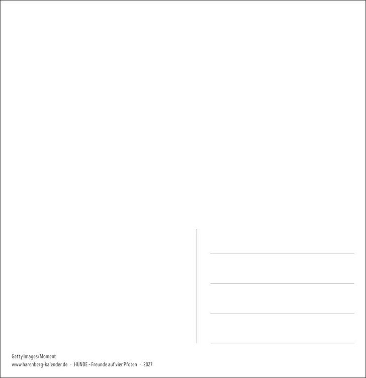 Produktbild: Hunde Premium-Postkartenkalender 2027 - Freunde auf vier Pfoten; Kalender mit 53 Postkarten