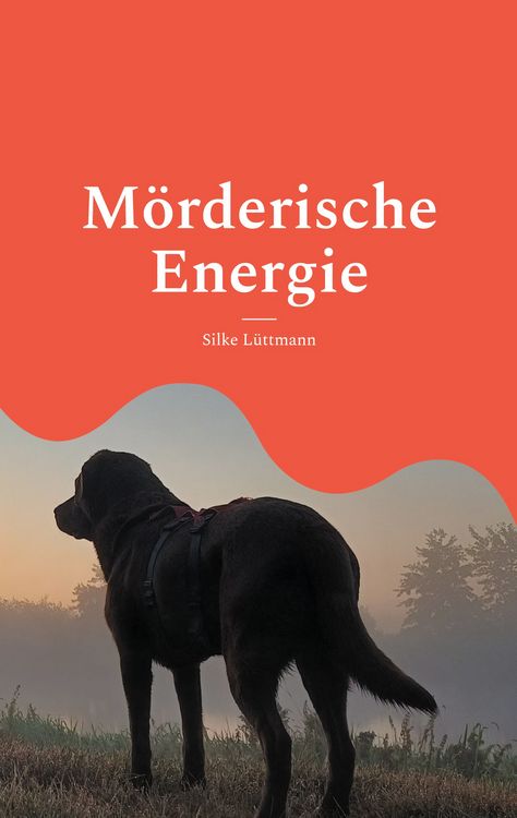 Produktbild: M&ouml;rderische Energie