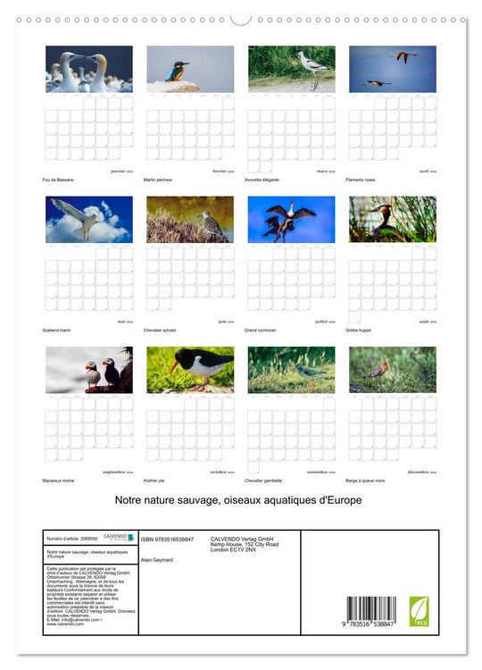 Produktbild: Notre nature sauvage, oiseaux aquatiques d'Europe (Calendrier mural 2026 DIN A2 horizontal) calendrier de bureau