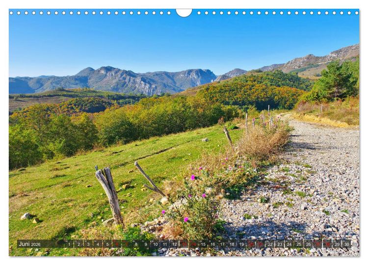 Produktbild: TransApuseni - Sch&ouml;nste Panoramastra&szlig;e in Siebenb&uuml;rgen (Wandkalender 2026 DIN A3 quer), CALVENDO Monatskalender