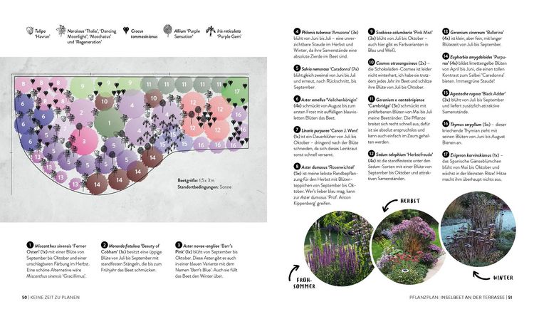 Produktbild: Keine Zeit zu g&auml;rtnern &ndash; Blumenparadies mit wenig Aufwand