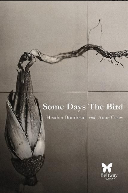 Produktbild: Some Days the Bird
