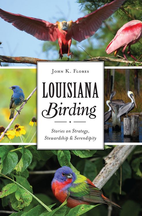 Produktbild: Louisiana Birding