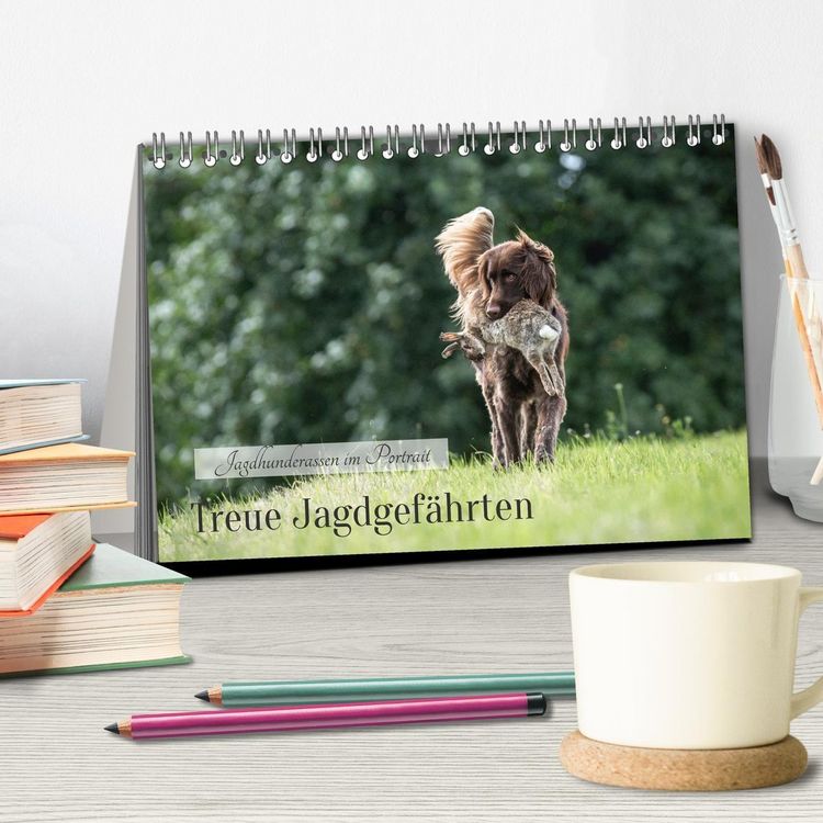 Produktbild: Treue Jagdgef&auml;hrten - Jagdhunderassen im Portrait (Tischkalender 2026 DIN A5 quer), CALVENDO Monatskalender