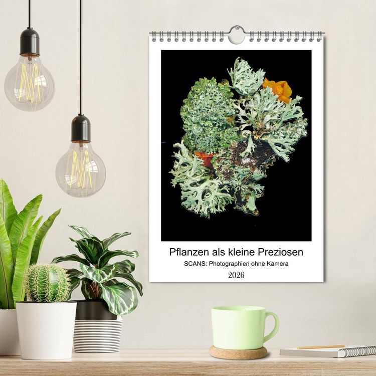 Produktbild: Pflanzen als kleine Preziosen (Wandkalender 2026 DIN A4 hoch), CALVENDO Monatskalender