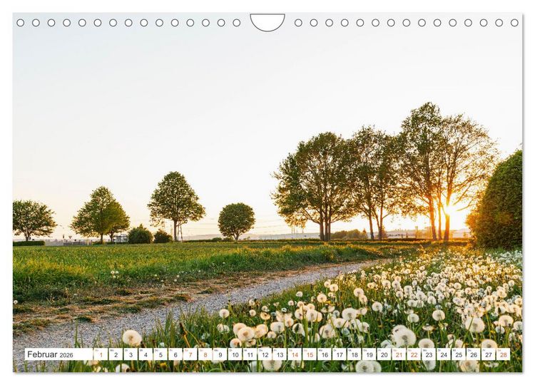 Produktbild: K&ouml;ln Widdersdorf - Bl&uuml;tentr&auml;ume und l&auml;ndliche Idylle (Wandkalender 2026 DIN A4 quer), CALVENDO Monatskalender