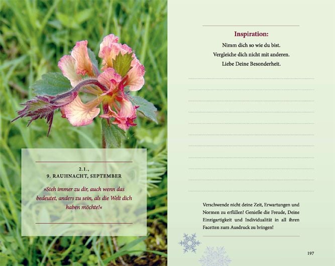 Produktbild: Rauhn&auml;chte: Die geheimnisvolle Zeit zwischen den Jahren (erweiterte Neuausgabe)