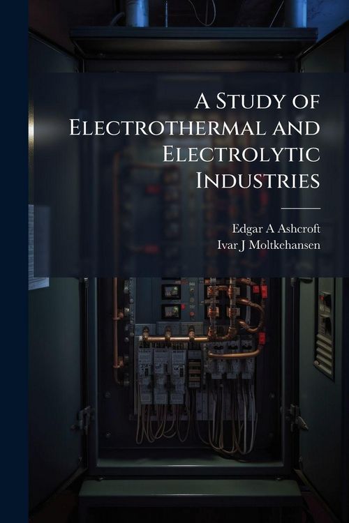 Produktbild: A Study of Electrothermal and Electrolytic Industries