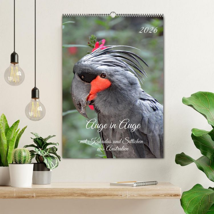 Produktbild: Auge in Auge mit Kakadus und Sittichen aus Australien (Wandkalender 2026 DIN A2 hoch), CALVENDO Monatskalender
