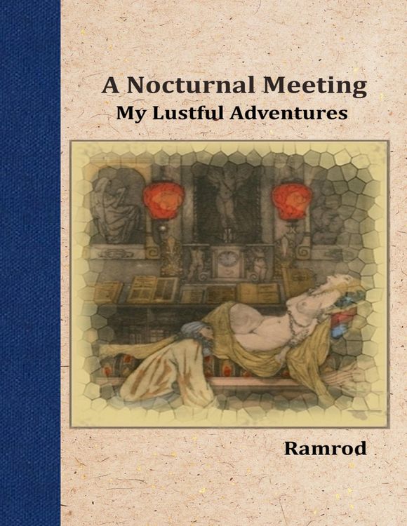Produktbild: A Nocturnal Meeting: My Lustful Adventures