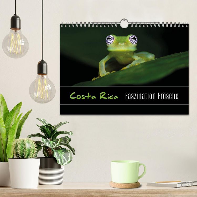 Produktbild: Costa Rica - Faszination Fr&ouml;sche (Wandkalender 2026 DIN A4 quer), CALVENDO Monatskalender
