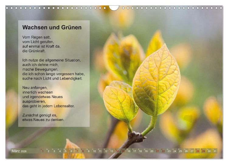 Produktbild: Im Rhythmus der Jahreszeiten und des Kirchenjahres (Wandkalender 2026 DIN A3 quer), CALVENDO Monatskalender