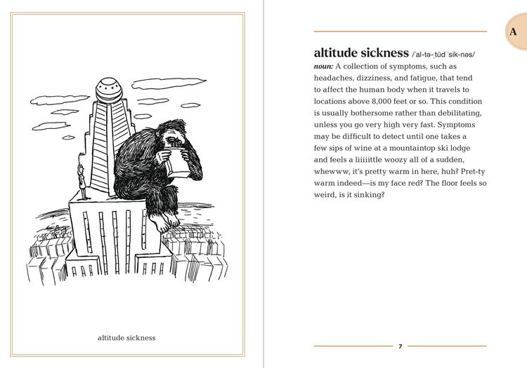Produktbild: Traveling Dictionary